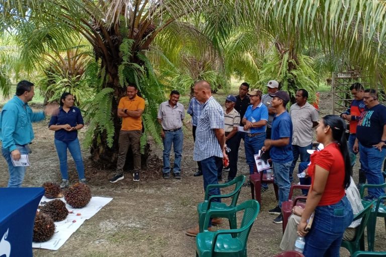 Capacitación a productores de Sharon Panamá